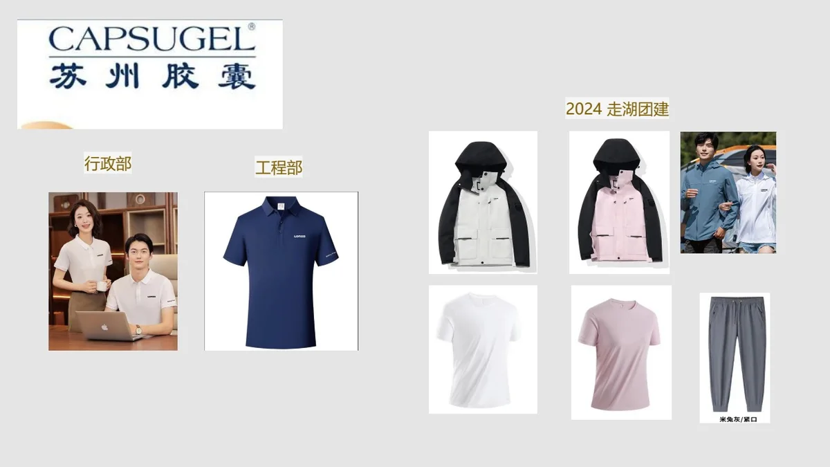 CAPSUGEL 苏州胶囊合作案例原页1